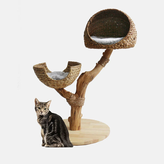 Back To Nature Duo Cat Tree by Lords & Labradors