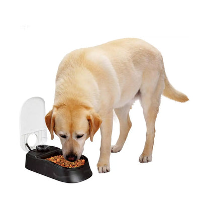 Automatic Pet Feeder Portion Control Food Dispenser