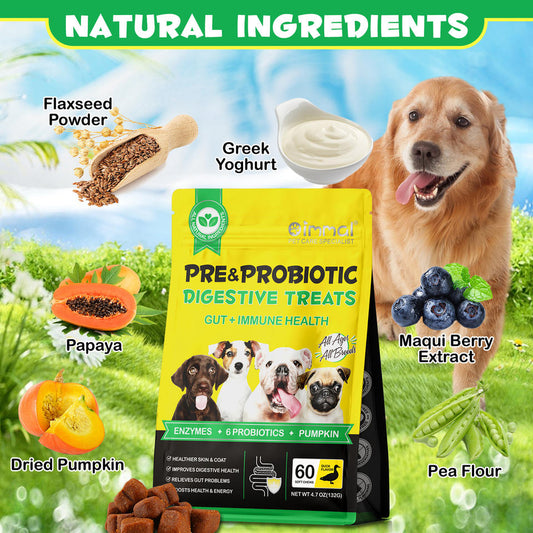 Natural Dog Probiotic Soft Chews – Digestive Support Treats for Dogs (60 Chews)