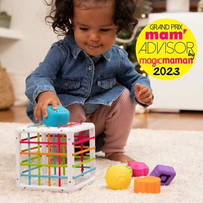 Little Brainies – Inny Bin Sensory Shape Sorting Toy for Babies & Toddlers