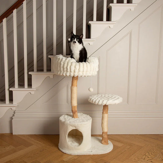 Scruffs Alpine Colorado Cat Tree