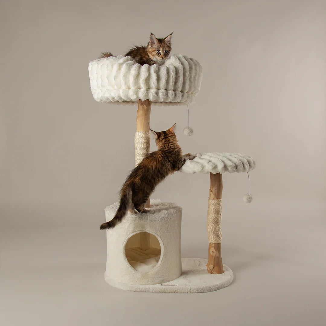 Scruffs Alpine Colorado Cat Tree