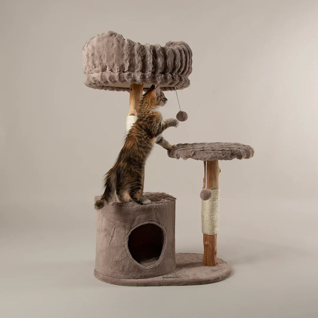 Scruffs Alpine Colorado Cat Tree