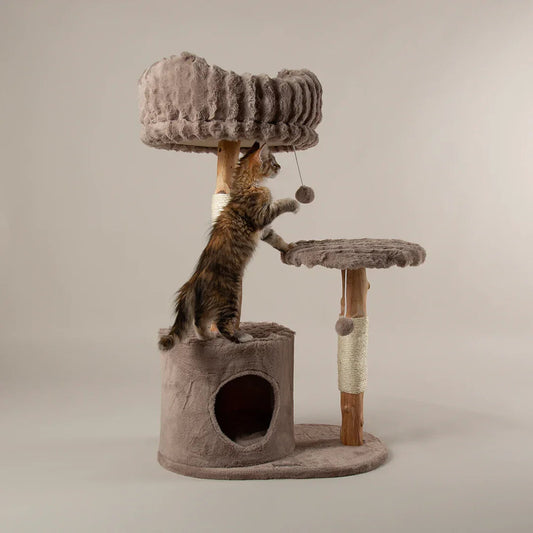 Scruffs Alpine Colorado Cat Tree
