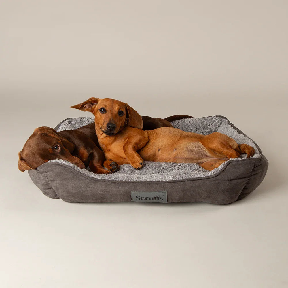 Scruffs Cosy Soft Dog Bed