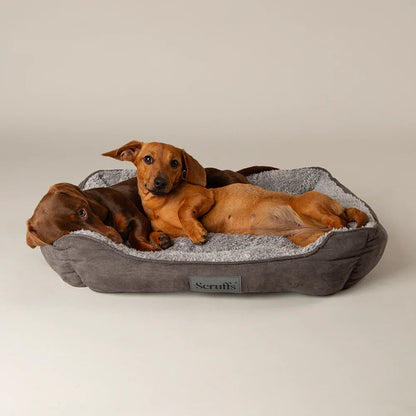 Scruffs Cosy Soft Dog Bed