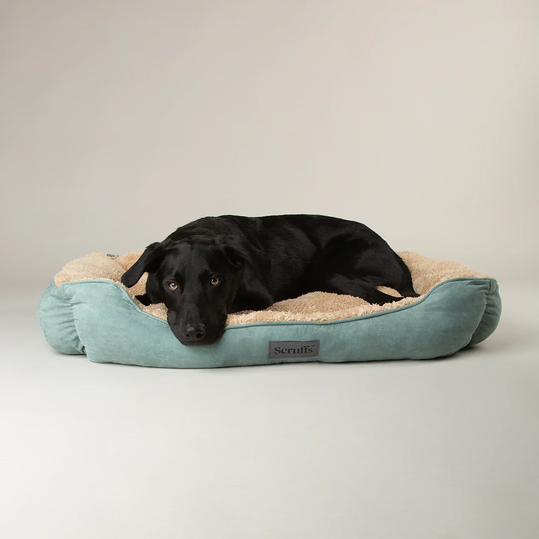 Scruffs Cosy Soft Dog Bed